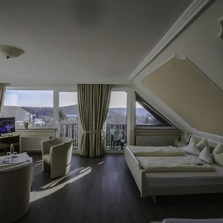فندق Schneider 3*