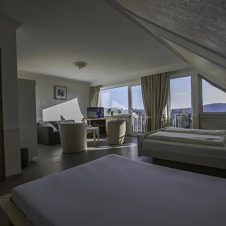 Schneider Ξενοδοχείο