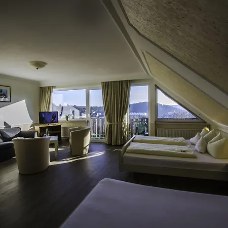 Schneider Βίντερμπεργκ