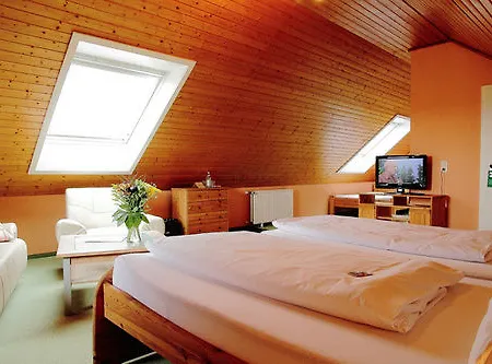 Hotel Schneider 3*
