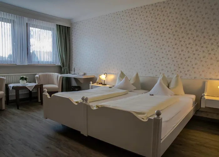 Otel Schneider 3*