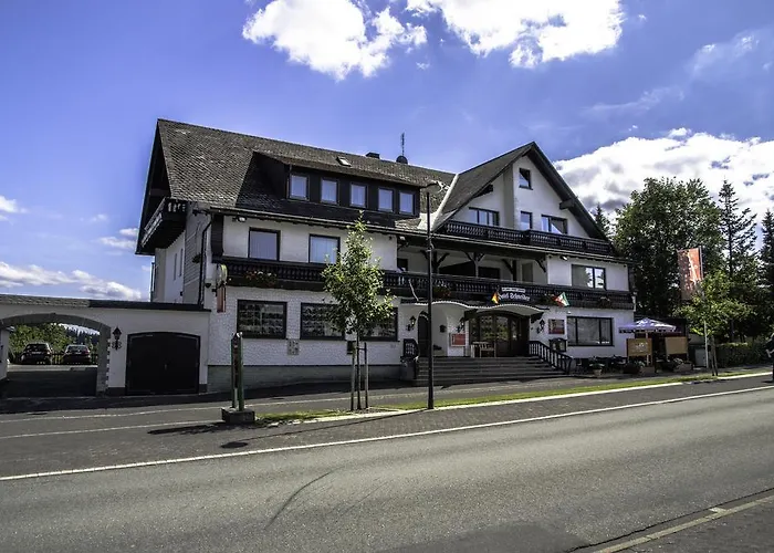 Schneider 3*