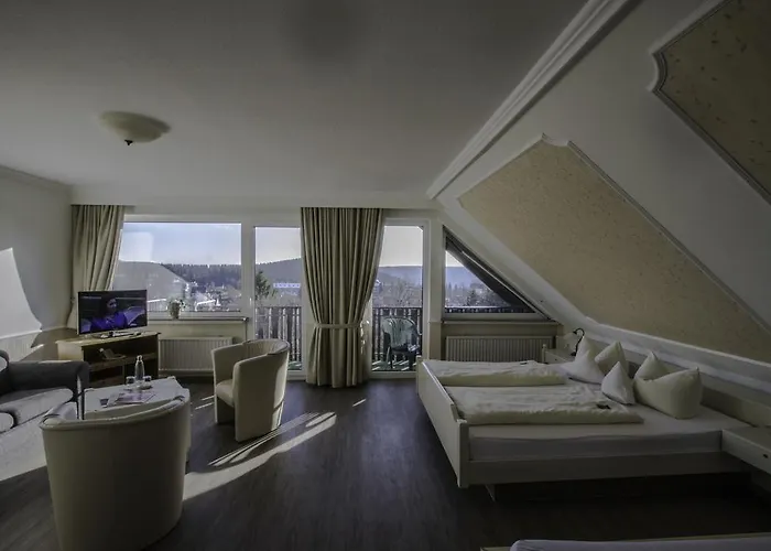 Otel Schneider 3*