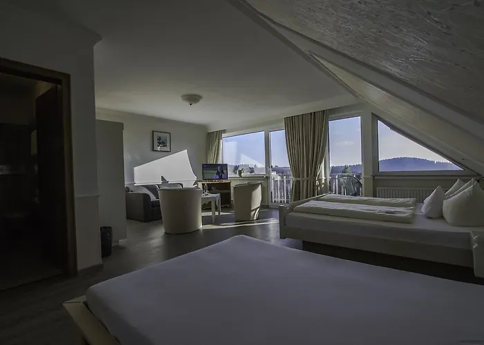 Schneider Hotel