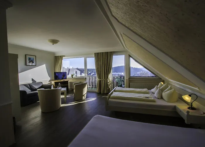 Schneider Βίντερμπεργκ