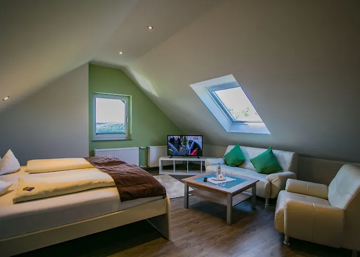 Schneider Hotel 3*