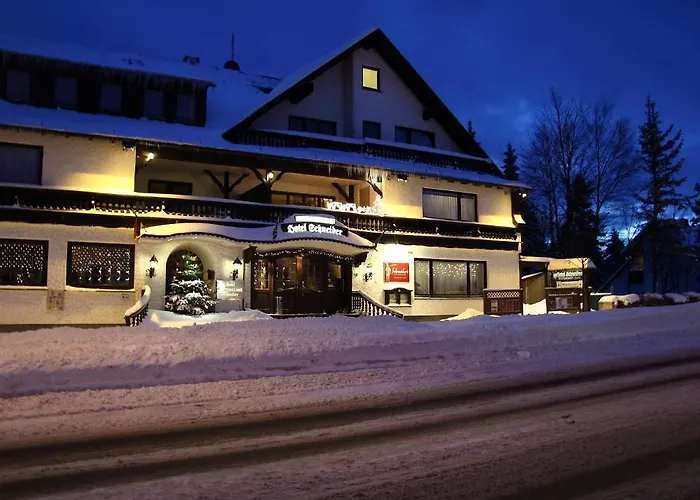 Schneider Otel 3*
