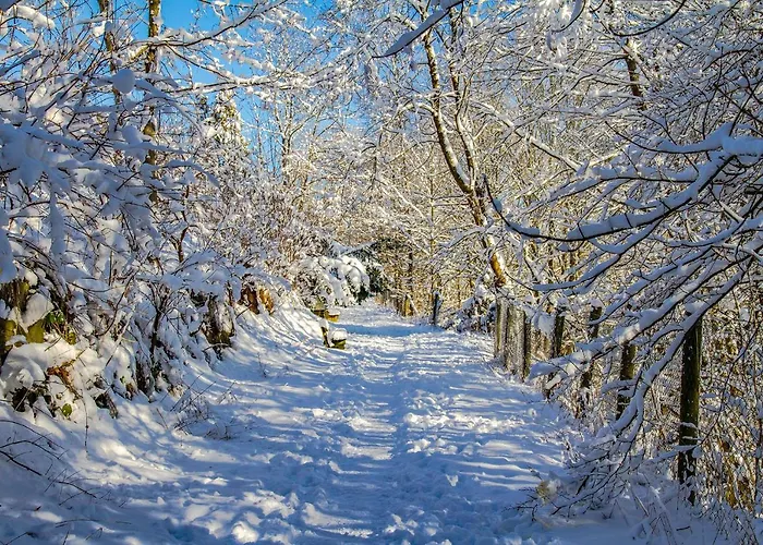 Ξενοδοχείο Schneider 3*