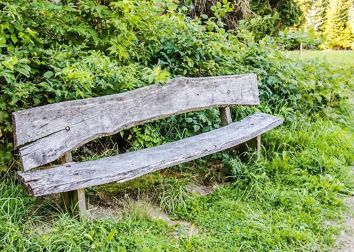 Ξενοδοχείο Schneider